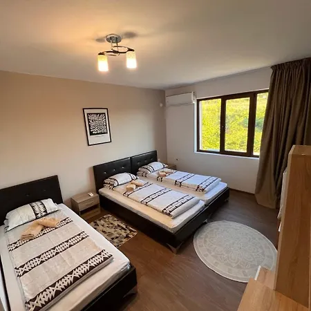 вихрен-стаи и за гости *